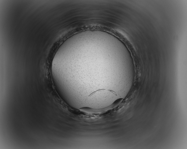 X0000088090823200705251427