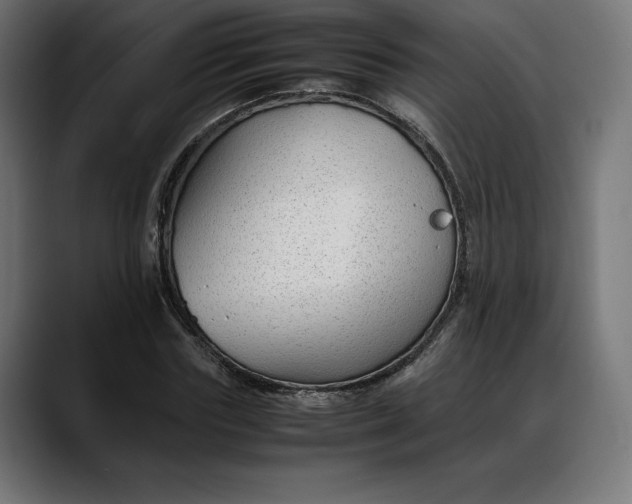 X0000088090827200705251427