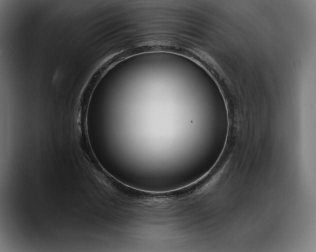 X0000088090830200705251427