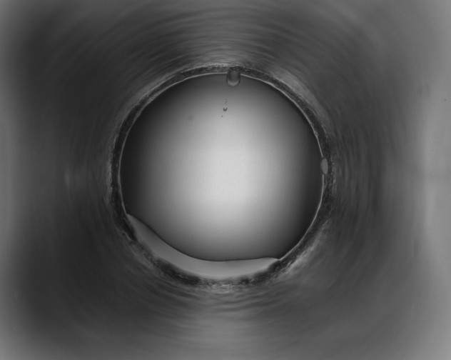 X0000088090834200705251427