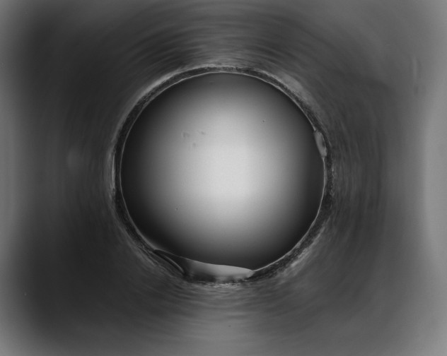 X0000088090838200705251427