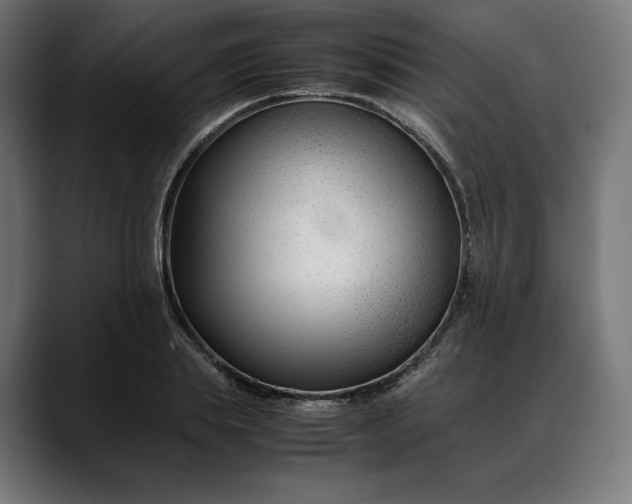 X0000088090839200705251427