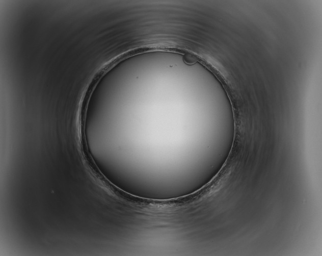 X0000088090840200705251427