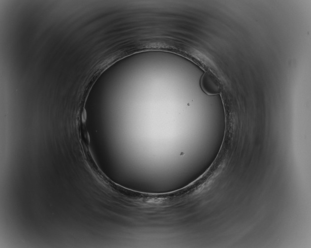 X0000088090841200705251427