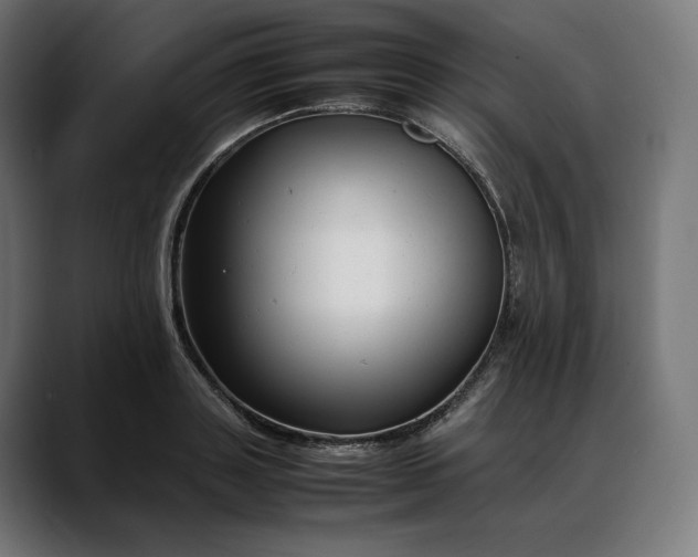 X0000088090843200705251427