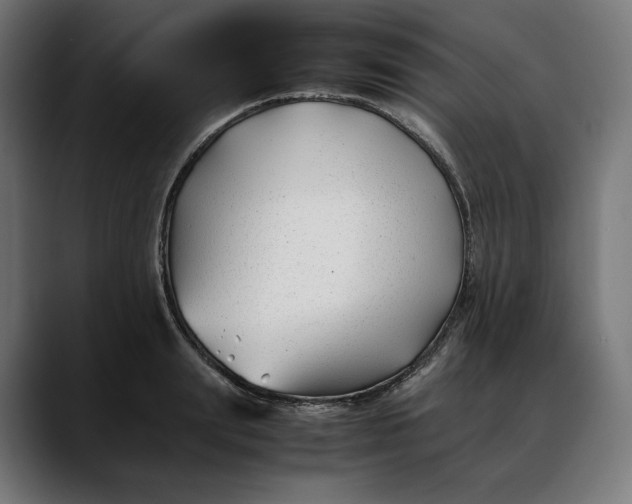 X0000088090847200705251427