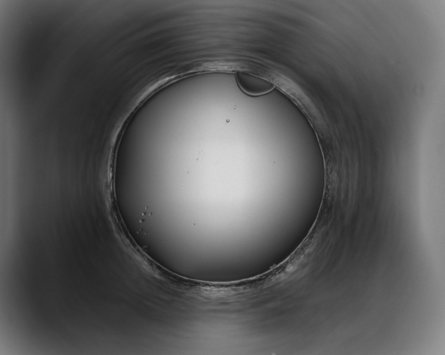 X0000088090852200705251427