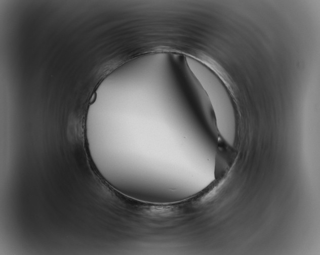 X0000088090857200705251427