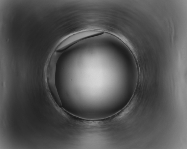 X0000088090862200705251427