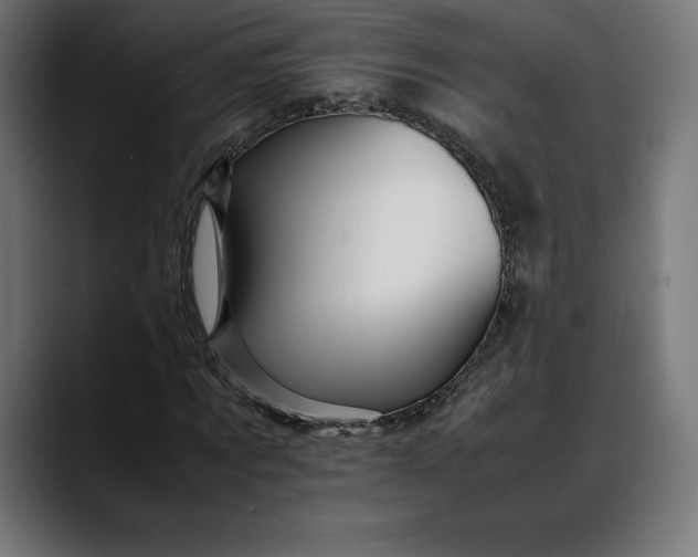 X0000088090869200705251427