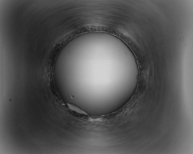 X0000088090870200705251427