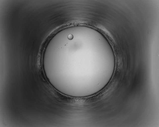 X0000088090878200705251427