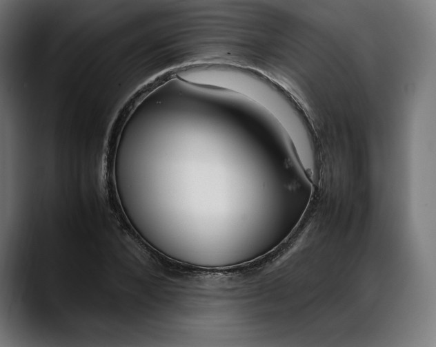 X0000088090880200705251427