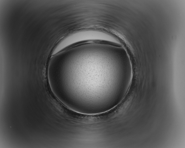 X0000088090881200705251427