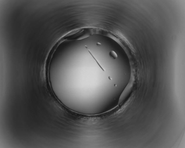 X0000088090884200705251426