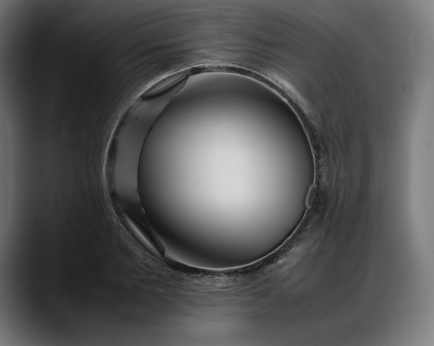 X0000088090885200705251426