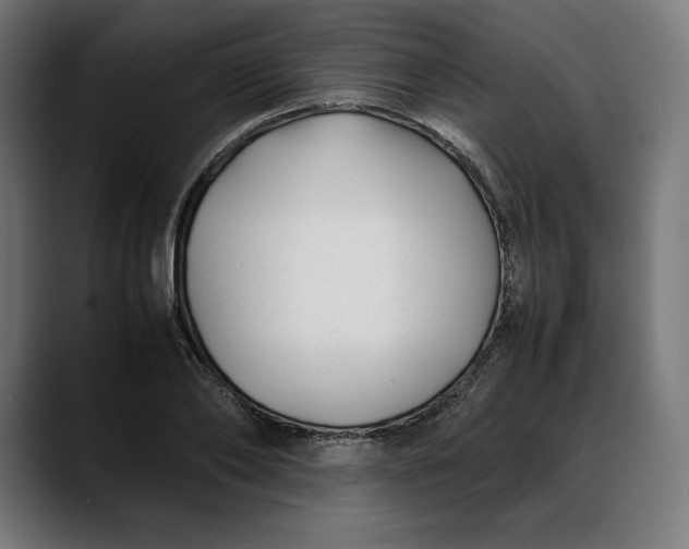 X0000088090886200705251426