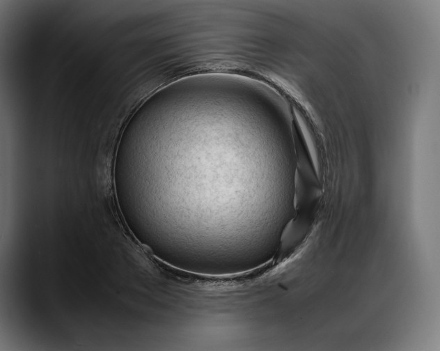 X0000088090889200705251426