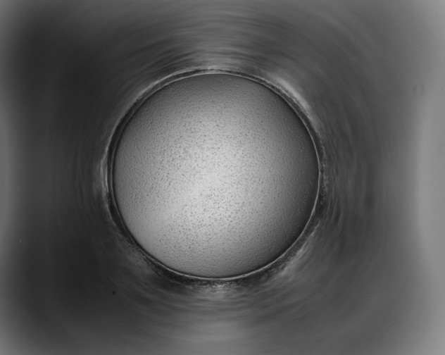 X0000088090891200705251426