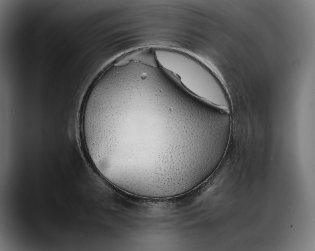 X0000088090895200705251426