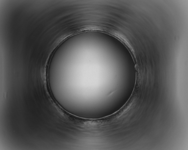 X0000088090898200705251426