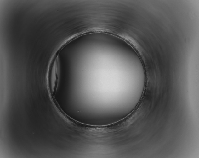 X0000088090902200705251426