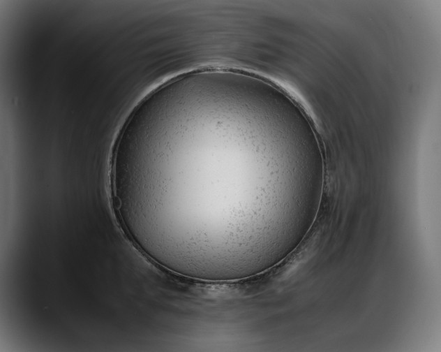 X0000088090903200705251426