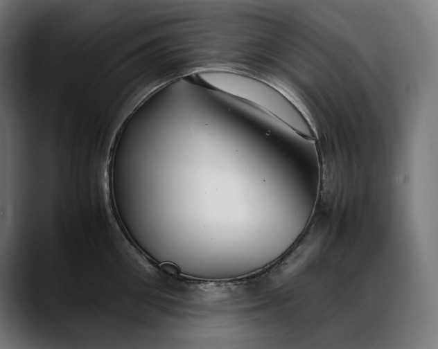 X0000088090906200705251426