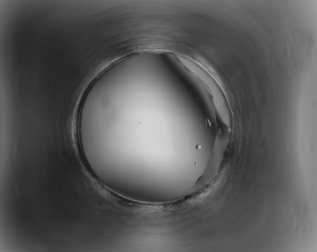 X0000088090909200705251426