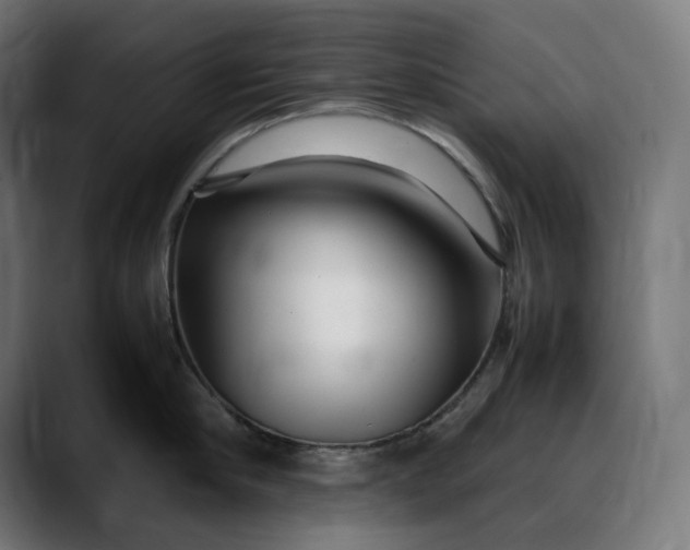 X0000088090910200705251426