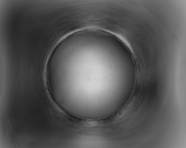 X0000088090911200705251426