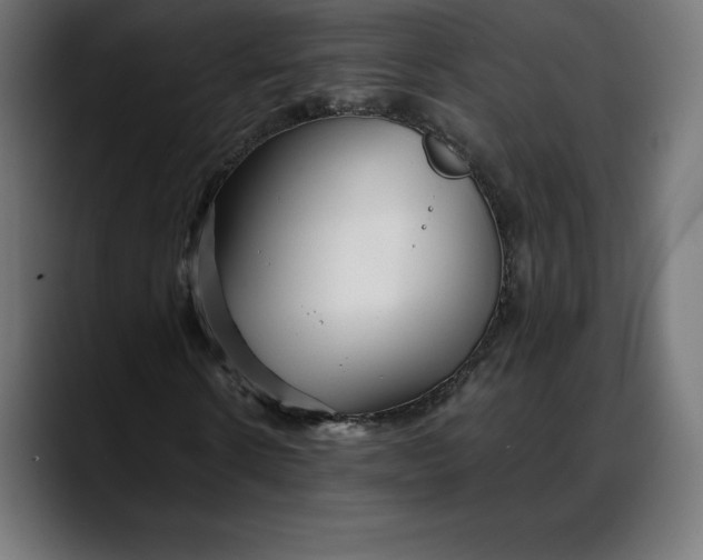 X0000088090914200705251425