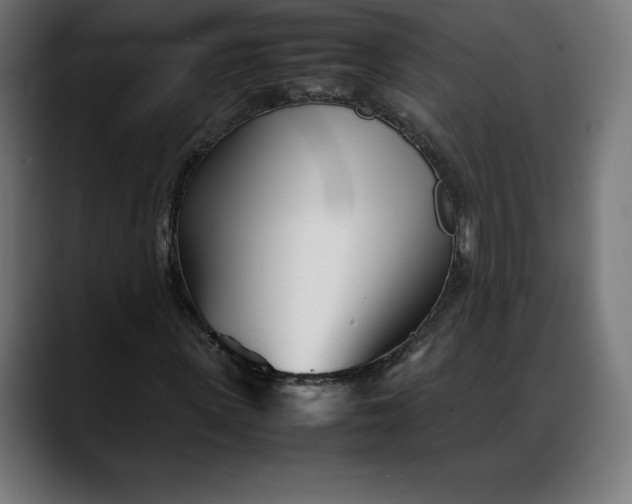 X0000088090915200705251426