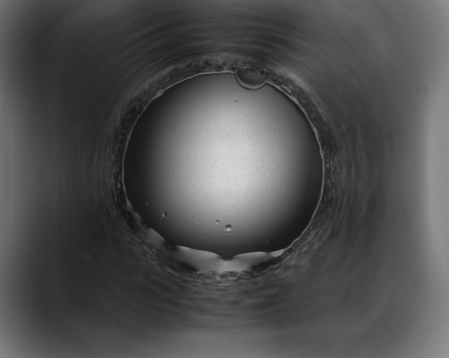 X0000088090919200705251426