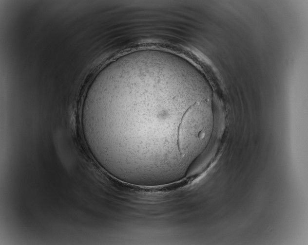 X0000088090921200705251426