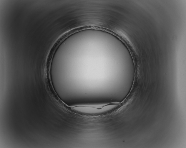 X0000088090924200705251426