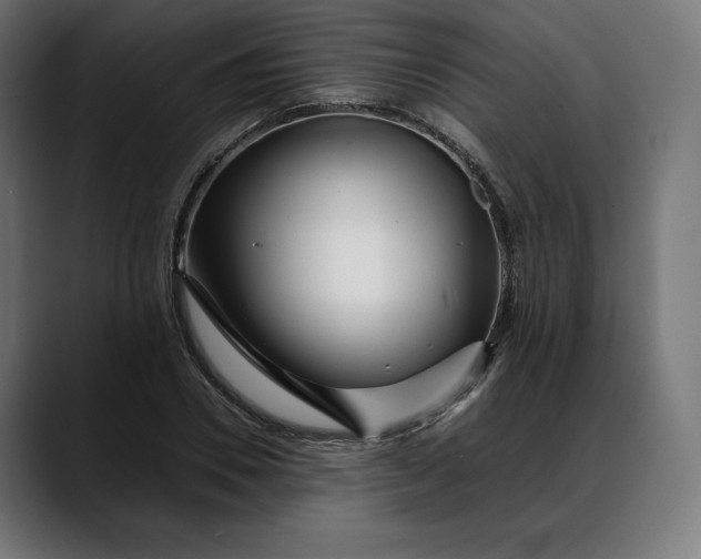 X0000088090930200705251426