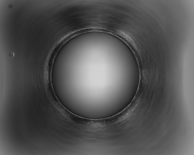 X0000088090931200705251426