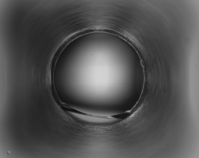 X0000088090934200705251426