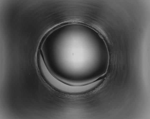 X0000088090936200705251426