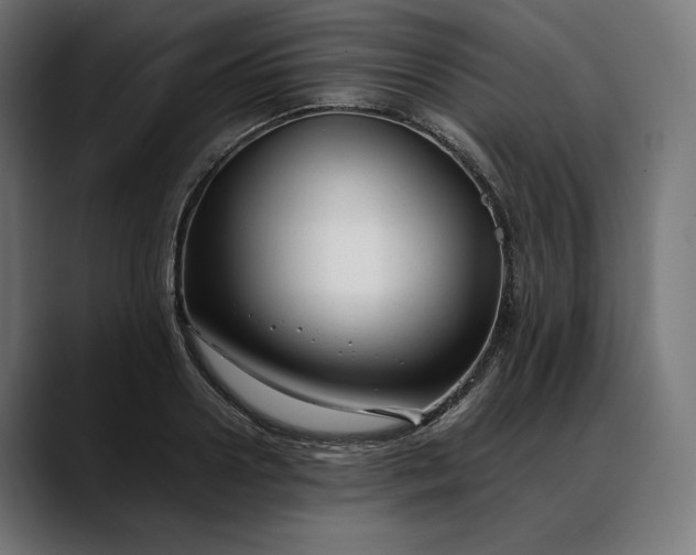 X0000088090938200705251426