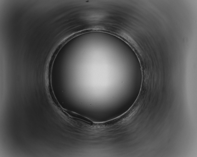 X0000088090939200705251426