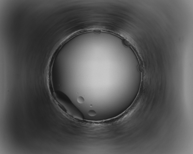 X0000088090941200705251426