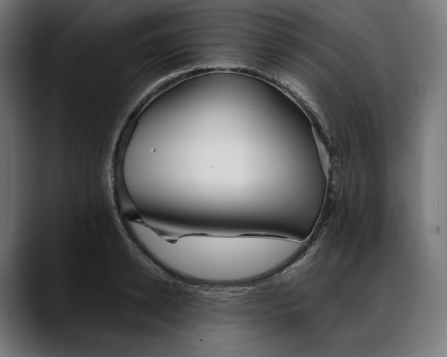 X0000088090942200705251426