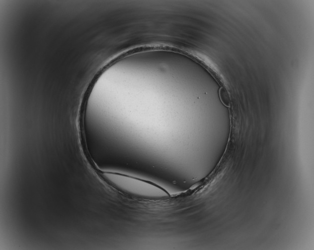 X0000088090943200705251426