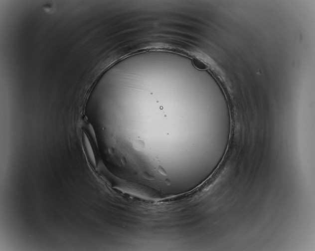 X0000088090945200705251426