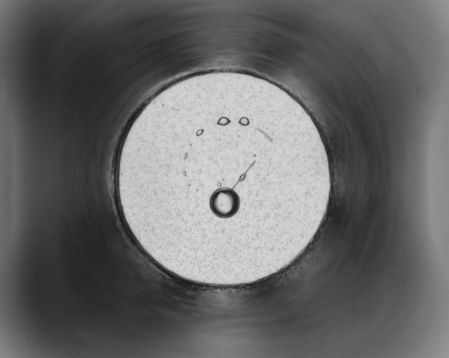 X0000088090950200705251426