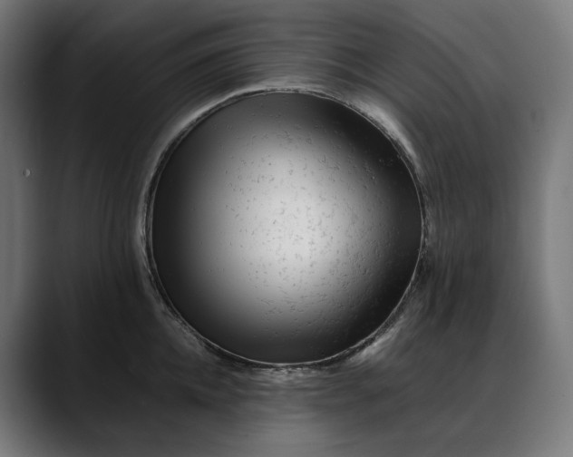 X0000088090952200705251426