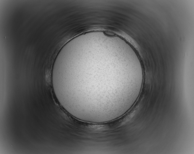 X0000088090953200705251426