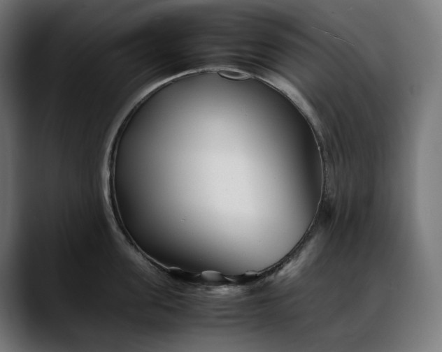 X0000088090955200705251426